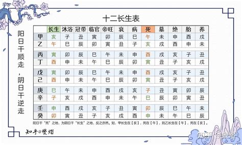 12長生|八字十二長生解讀——胎、養